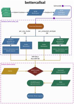 bettercallsal: better calling of Salmonella serotypes from enrichment cultures using shotgun metagenomic profiling and its application in an outbreak setting